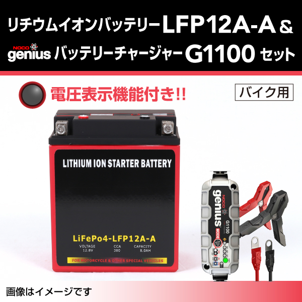 LFP : リチウムイオンバッテリー セット : LFP12A-A-G1100