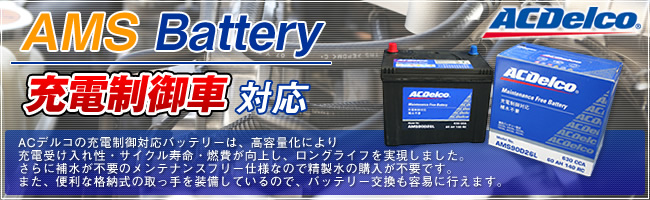 ACDelco : 充電制御車対応｜自動車バッテリー バイクバッテリー 通販 - ハクライネット